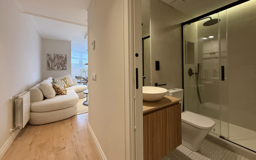 Ref: 46185 . Ático . Terraza . Amueblado