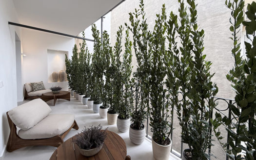 Ref: 44496 . Lujo a estrenar