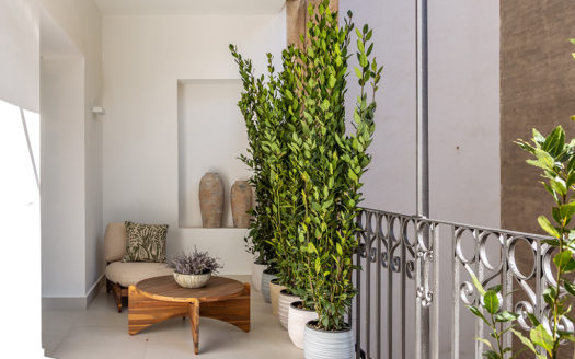 Ref: 44496 . Lujo a estrenar